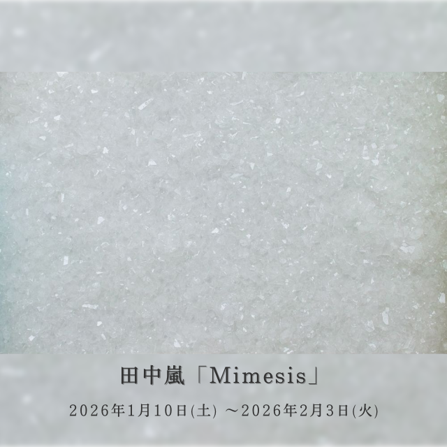 田中嵐,Mimesis,Arashi Tanaka